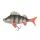 Fox Rage Ultra Realistic Perch Replicant Leurre Souple Perche 14cm 52gr