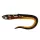 Leurre en plastique Fox Rage Slick Eel Burbot 21cm 1 pièce