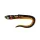 Fox Rage Slick Eel Burbot Leurre en plastique 28cm 1pc