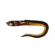 Fox Rage Slick Eel Burbot Leurre en plastique 28cm 1pc