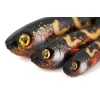 Fox Rage Slick Eel Burbot Leurre en plastique 28cm 1pc