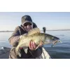 Fox Rage Bulk Loaded Slick Shads UV Arkansas Shiner 9cm 2/0 10gr Leurre en plastique