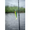 Fox Rage Bulk Loaded Zander Pro Shads UV Firetiger 10cm 4/0 10gr Leurre souple