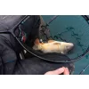Preston Carp XS Tête d'épuisette 45cm