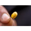 Preston XS02-B Hooks Hameçon 10 sans ardillon, avec palette 10pcs