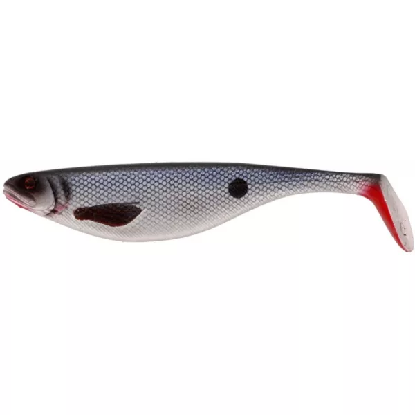 WESTIN ShadTeez 19cm 56g Stamped Roach Boîte avec Leurre souple