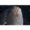 Preston Hookable Bait Bands Csaligumi S 128db