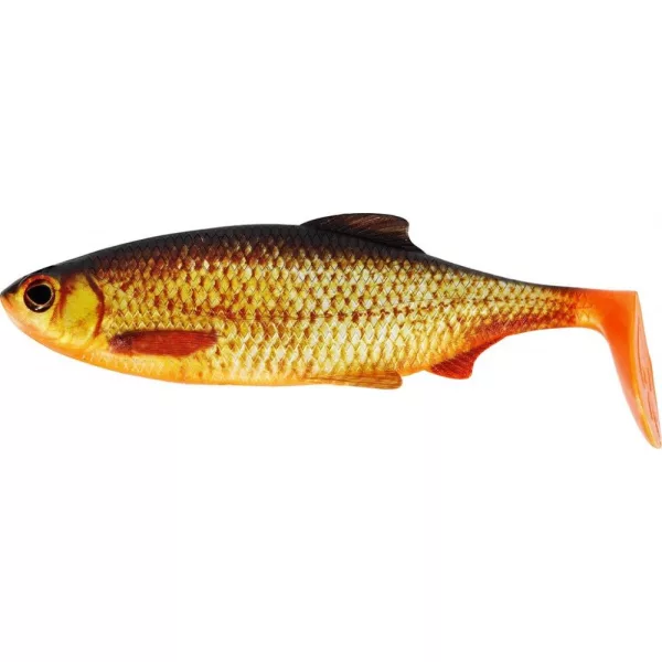WESTIN Ricky the Roach Shadtail 14cm 42g Vrai Rotengle Boîte avec 20pcs Leurre en plastique