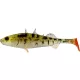 WESTIN Stanley the Stickleback Shadtail 5,5cm 1,5g Pearl Stickleback Boîte avec Leurre en plastique