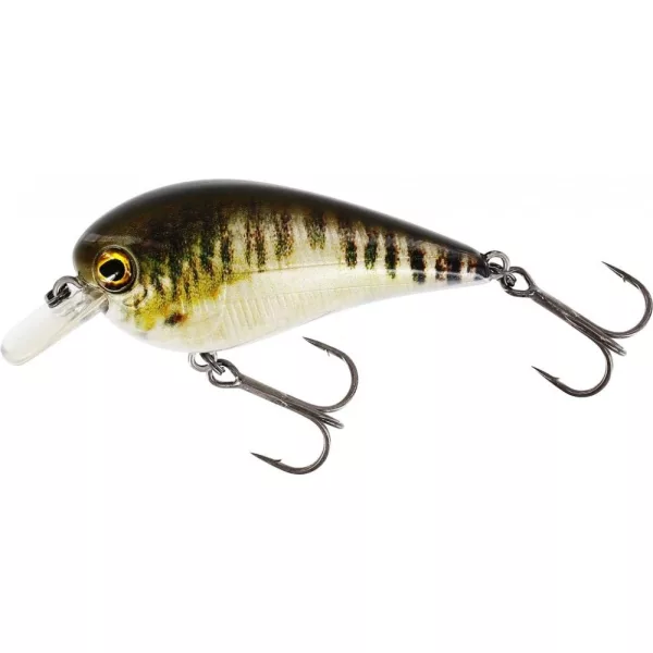 WESTIN BassBite 1.5 Squarebill 6cm 13g Leurre Nageur Flottant Vairon Réel