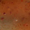 Pro-Cure Super Gel pour leurres Crawfish 56g