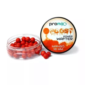 Promix GOOST Power Wafter Appât Mangue 10mm