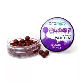 Promix GOOST Power Wafter SQUID Appât 10mm