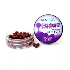 Promix GOOST Power Wafter SQUID Appât 8mm