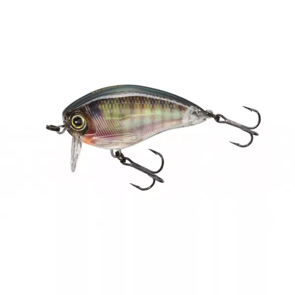 YO-ZURI 3DR WAKEBAIT FLOTTANT 50mm - code couleur RBG Wobbler