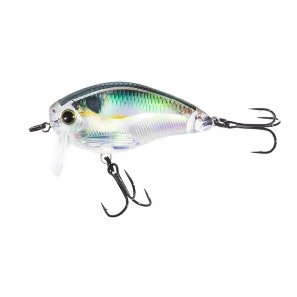 YO-ZURI 3DR WAKEBAIT FLOTTANT 50mm - code couleur RGZS Wobbler