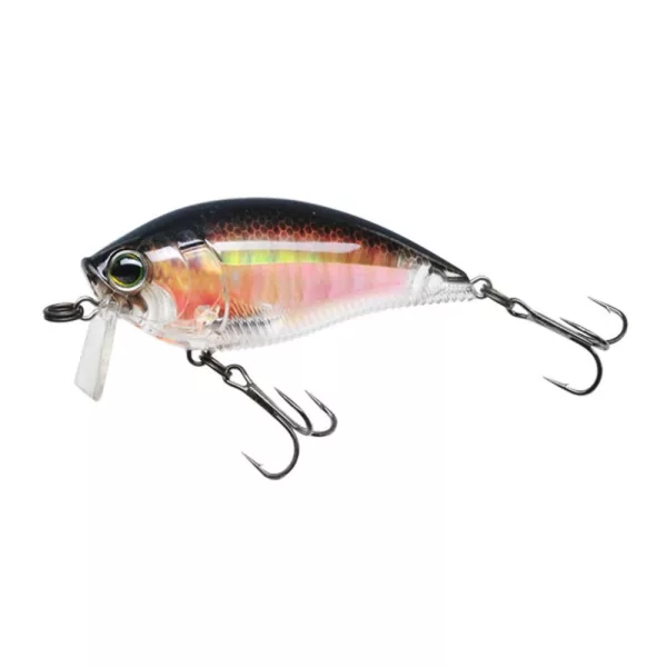 YO-ZURI 3DR WAKEBAIT FLOTTANT 70mm - code couleur RBG Wobbler