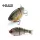 Raid G-Dash 13cm 40gr 002 Iroke Buna Wobbler