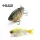 Raid G-Dash 13cm 40gr 004 Pearly Chart Leurre