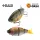 Raid G-Dash 13cm 40gr 007 Bait Japan Leurre