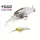 Raid Level Shad 5cm 4,3gr Su 013 Shirauo Leurre de type Wobbler