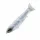 Sakura - S-SHINER 170 S - 170MM - 62G - 096 (Blanc HP) - Wobbler