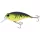 Sakura Crankit +3 Tigre Éclipse 6,2cm 17,0gr Medium Runner Crankbait