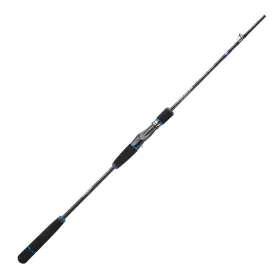   Sakura Ryokan SW Casting RSWC 641 SJ2 1,93m 90-200gr Slow Jig Canne casting en 1 pièce
