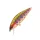 Sakura Phoxy Awa 52 S Iwana Trout 5,2cm 5,5gr Leurre Minnow Coulant