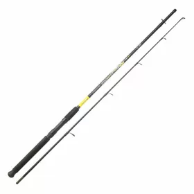   SRT Fish Instinct Symphony Spincast 2,10m 10-30gr Canne à lancer en 2 sections