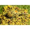Speciál Mix 2,5mm Pellet Carpe Méthode Foie 500gr