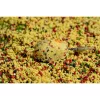 Speciál Mix 4mm Krill Method Carp Pellet 500gr