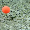 Stég Upters Method Ball Wafter Fraise 10mm 8 pièces