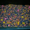 Stég PVA-Spod Mix 3-5-8mm Mélange de Pellets Poisson 800gr