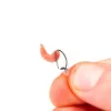 Nash Maggot Screw Medium Anneau à asticots
