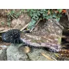 TF Gear Primal X-Trail Bakancs 45