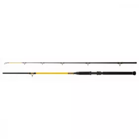   WFT Never Crack Bank Boat 3,20m 250-1000gr Canne à silure 2 pièces