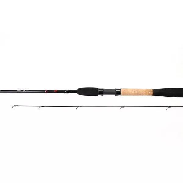 Nytro Aryzon Pellet Waggler 3,00m 4-10gr Canne Match 2 Brins